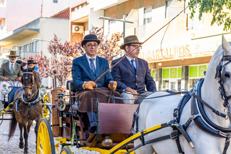 SAO BRAS DE ALPORTE, PORTUGAL - 4th MAY 2024: Period representation event of Carriage coupling traditional event with beautiful carriages with horses and person dressed for the occasion.のeditorial素材