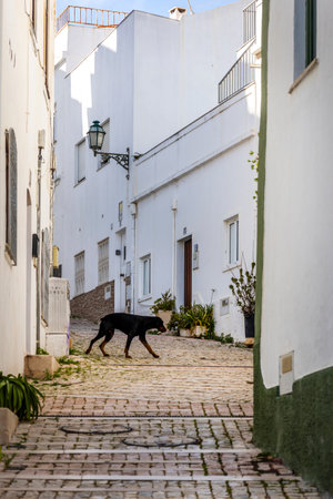 Traditional portuguese architecture of houses in the region of Albufeira, Portugal.の写真素材