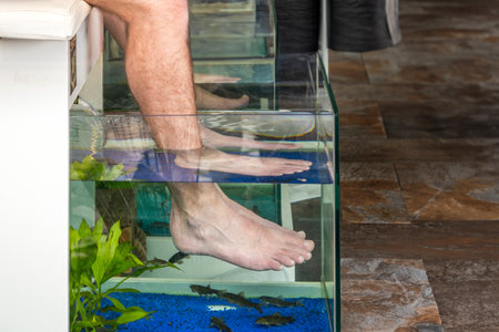 Close up view of feet of man useing red garra (Garra rufa) fish for treatment,の写真素材