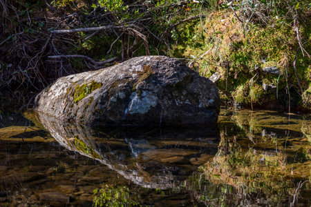 Calm scene of large boulder half submerged in stream of water.の写真素材