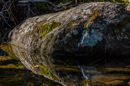 Calm scene of large boulder half submerged in stream of water.の写真素材