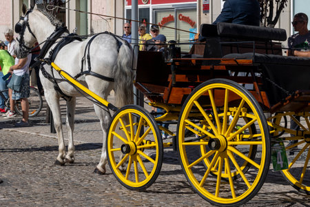 SAO BRAS DE ALPORTE, PORTUGAL - 4th MAY 2024: Period representation event of Carriage coupling traditional event with beautiful carriages with horses and person dressed for the occasion.のeditorial素材