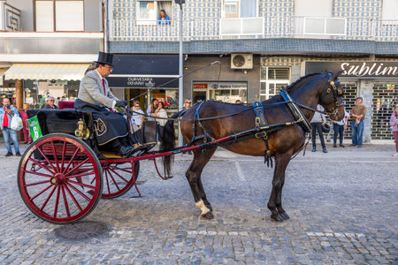 SAO BRAS DE ALPORTE, PORTUGAL - 4th MAY 2024: Period representation event of Carriage coupling traditional event with beautiful carriages with horses and person dressed for the occasion.のeditorial素材