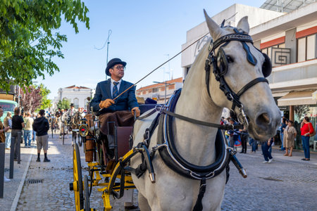 SAO BRAS DE ALPORTE, PORTUGAL - 4th MAY 2024: Period representation event of Carriage coupling traditional event with beautiful carriages with horses and person dressed for the occasion.のeditorial素材