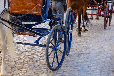 Detail of a Carriage coupling traditional event traditional event with beautiful carriages with horses and person dressed for the occasion.の写真素材