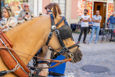 SAO BRAS DE ALPORTE, PORTUGAL - 4th MAY 2024: Period representation event of Carriage coupling traditional event with beautiful carriages with horses and person dressed for the occasion.のeditorial素材