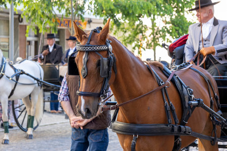 SAO BRAS DE ALPORTE, PORTUGAL - 4th MAY 2024: Period representation event of Carriage coupling traditional event with beautiful carriages with horses and person dressed for the occasion.のeditorial素材