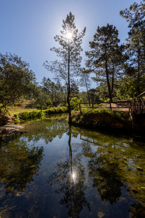 View of the reflection of trees on the water river, located in Sao Bras de Alportel, Portugal.の写真素材