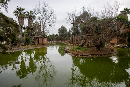 LAGOS, PORTUGAL - 17th JANUARY 2024: Photo of the monkey ponds in the Zoo of Lagos located in the Algarve region, Portugal.のeditorial素材