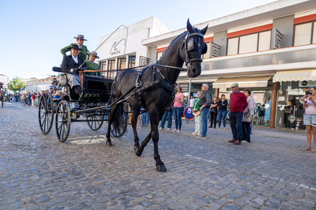 SAO BRAS DE ALPORTE, PORTUGAL - 4th MAY 2024: Period representation event of Carriage coupling traditional event with beautiful carriages with horses and person dressed for the occasion.のeditorial素材
