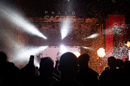 Audience watch musician in the Music Festival Fのeditorial素材