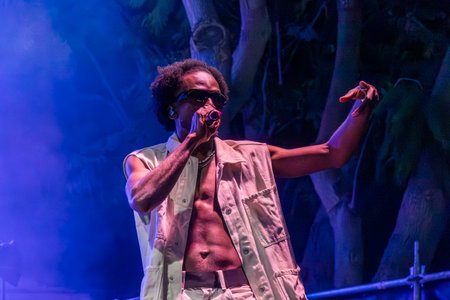 Throes and the Shine artist performing on Music Festival.のeditorial素材