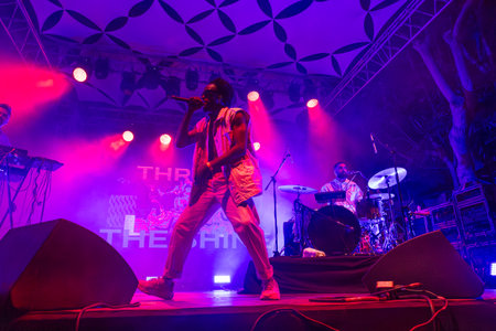 Throes and the Shine artist performing on Music Festival.のeditorial素材