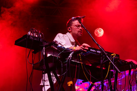 Throes and the Shine artist performing on Music Festival.