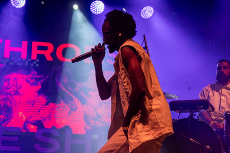 Throes and the Shine artist performing on Music Festival.のeditorial素材