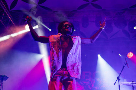 Throes and the Shine artist performing on Music Festival.のeditorial素材