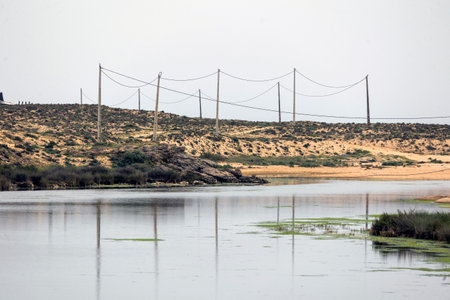 View of the natural marshlands near Armacao de Pera in the Algarve region, Portugal.の写真素材