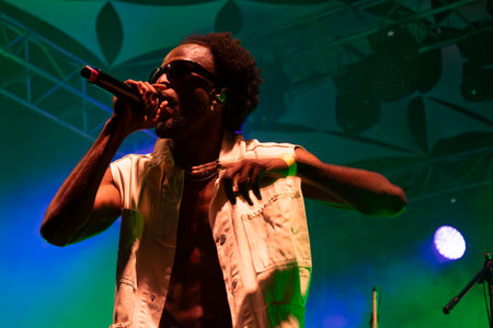 Throes and the Shine artist performing on Music Festival.