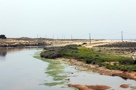 View of the natural marshlands near Armacao de Pera in the Algarve region, Portugal.の写真素材