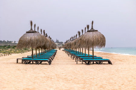 Row of straw parasol umbrellas on the Salgados beach, Algarve, Portugal.の写真素材