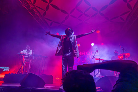Throes and the Shine artist performing on Music Festival.