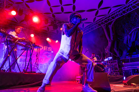 Throes and the Shine artist performing on Music Festival.
