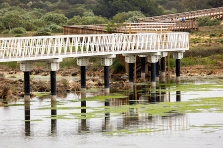 Bridge crossing through natural marshlands near Armacao de Pera in the Algarve region, Portugal.の写真素材