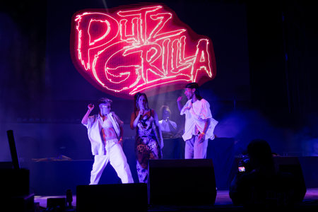 Putzgrilla artist performing on Music Festival.