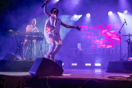 Throes and the Shine artist performing on Music Festival.
