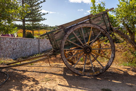 Close up view of an Old abandoned cart wheel.の写真素材