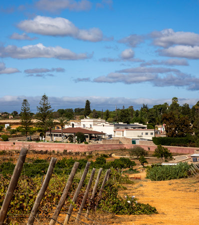 ESTOMBAR, PORTUGAL - 5th OCOTOBER 2024: Landscape view of wine estate "Quinta dos Vales" exterior in the Algarve region.のeditorial素材