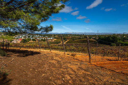 ESTOMBAR, PORTUGAL - 5th OCOTOBER 2024: Landscape view of wine estate "Quinta dos Vales" exterior in the Algarve region.のeditorial素材