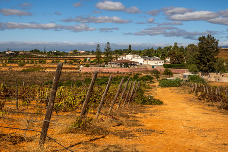 ESTOMBAR, PORTUGAL - 5th OCOTOBER 2024: Landscape view of wine estate "Quinta dos Vales" exterior in the Algarve region.のeditorial素材