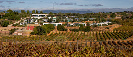 ESTOMBAR, PORTUGAL - 5th OCOTOBER 2024: Landscape view of wine estate "Quinta dos Vales" exterior in the Algarve region.のeditorial素材