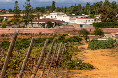 ESTOMBAR, PORTUGAL - 5th OCOTOBER 2024: Landscape view of wine estate "Quinta dos Vales" exterior in the Algarve region.のeditorial素材