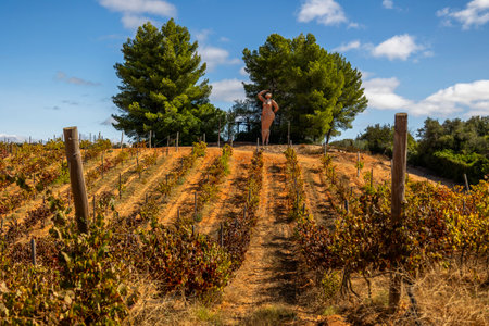 ESTOMBAR, PORTUGAL - 5th OCOTOBER 2024: Landscape view of wine estate "Quinta dos Vales" exterior in the Algarve region.のeditorial素材