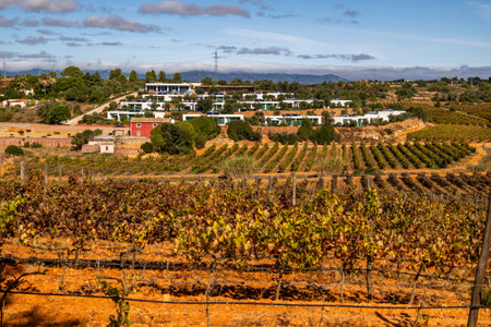 ESTOMBAR, PORTUGAL - 5th OCOTOBER 2024: Landscape view of wine estate "Quinta dos Vales" exterior in the Algarve region.のeditorial素材