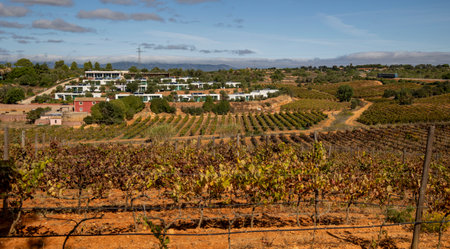 ESTOMBAR, PORTUGAL - 5th OCOTOBER 2024: Landscape view of wine estate "Quinta dos Vales" exterior in the Algarve region.のeditorial素材