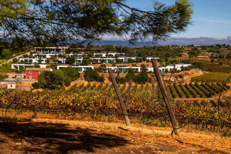 ESTOMBAR, PORTUGAL - 5th OCOTOBER 2024: Landscape view of wine estate "Quinta dos Vales" exterior in the Algarve region.のeditorial素材