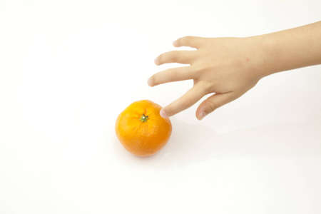 orangeの写真素材