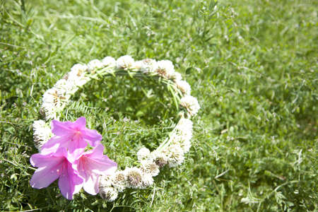 Corolla of a white flowerの写真素材