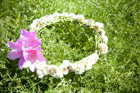 Corolla of a white flowerの写真素材