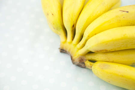 Monkey bananaの写真素材