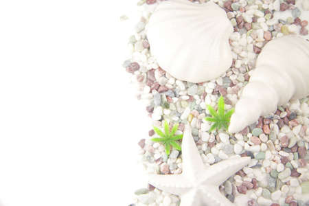 Shellの写真素材