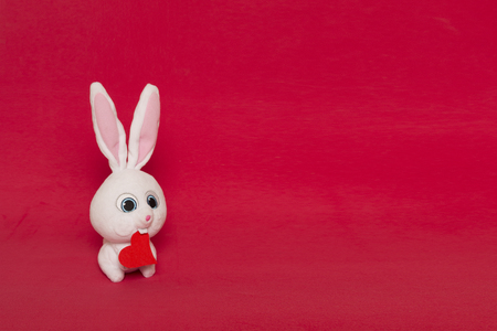 easter bunny and heart shape cardの写真素材