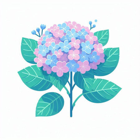Beautiful hydrangea flower on white background. Vector illustration.のイラスト素材