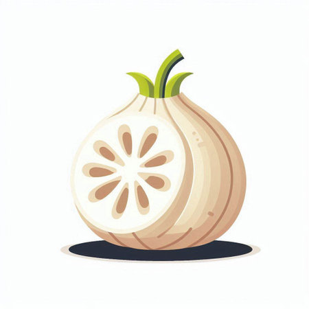 Sliced onion. Vector illustration isolated on a white background.のイラスト素材