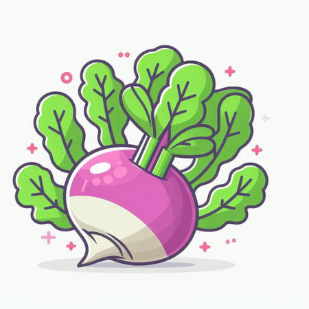 Vector illustration of radish icon. Cute cartoon radish vegetable.のイラスト素材
