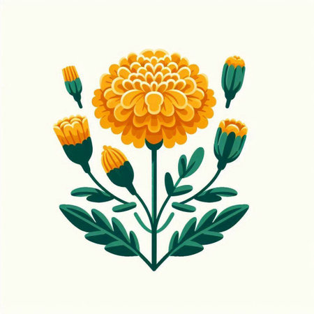 Yellow chrysanthemum flower isolated on white background. Vector illustration.のイラスト素材