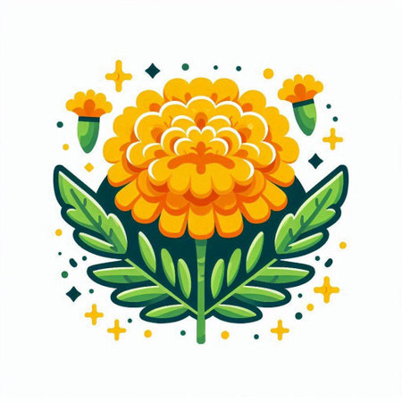 Marigold flower. Hand drawn vector illustration isolated on white background.のイラスト素材